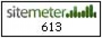 SiteMeter6